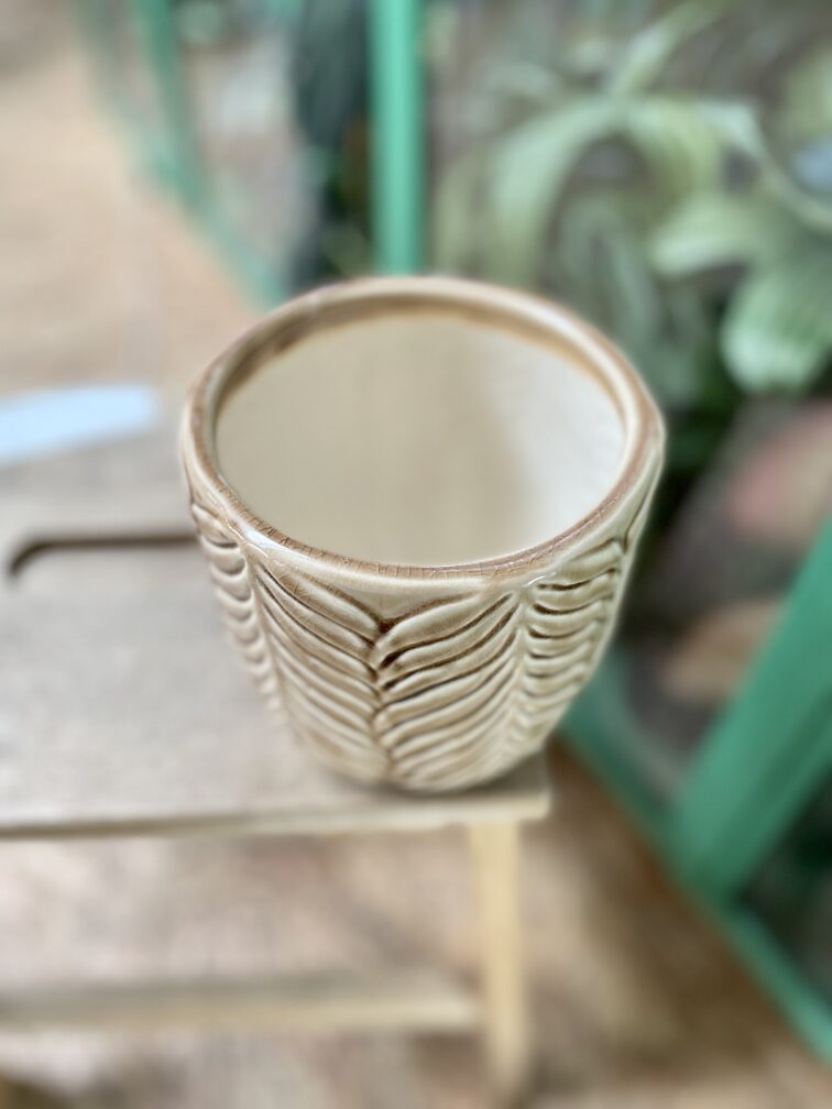 Zdjęcie doniczki lub oslonki: Osłonka Latte Art 11x14 cm, ujęcie 3