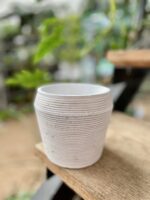 Zdjęcie doniczki lub oslonki: Osłonka Trails White 10x11 cm, ujęcie 1