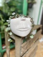 Zdjęcie doniczki lub oslonki: Osłonka Mouth 12 × 10 cm, ujęcie 2