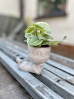 Zdjęcie doniczki lub oslonki: Osłonka Lazy boy 6 × 6 cm, ujęcie 3