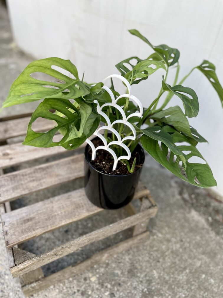 Zdjęcie akcesoria Drabinka bamboo parachute White, ujęcie 2