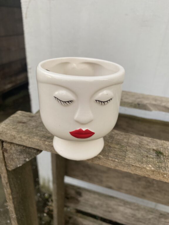 Zdjęcie doniczki lub oslonki: osłonka magnetyczna miss 6 × 7 cm, ujęcie 1