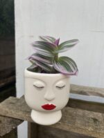 Zdjęcie doniczki lub oslonki: osłonka magnetyczna miss 6 × 7 cm, ujęcie 2