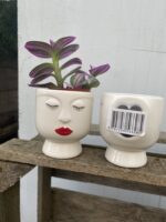 Zdjęcie doniczki lub oslonki: osłonka magnetyczna miss 6 × 7 cm, ujęcie 3