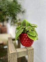 Zdjęcie doniczki lub oslonki: Osłonka Rasberry berry, ujęcie 2