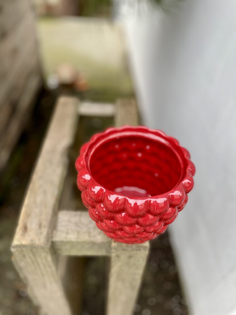 Zdjęcie doniczki lub oslonki: Osłonka Rasberry berry, ujęcie 3