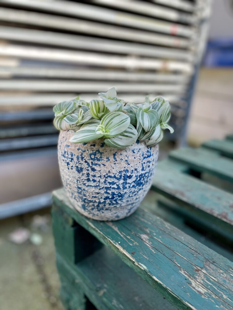 Zdjęcie doniczki lub oslonki: Osłonka Rustic blue, ujęcie 2