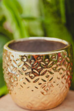 Zdjęcie doniczki lub oslonki: Osłonka Arabesque Gold 10 × 10 cm, ujęcie 1