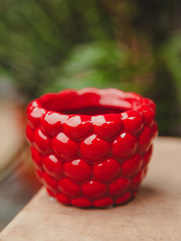 Zdjęcie doniczki lub oslonki: Osłonka Raspberry 6 × 6 cm, ujęcie 1