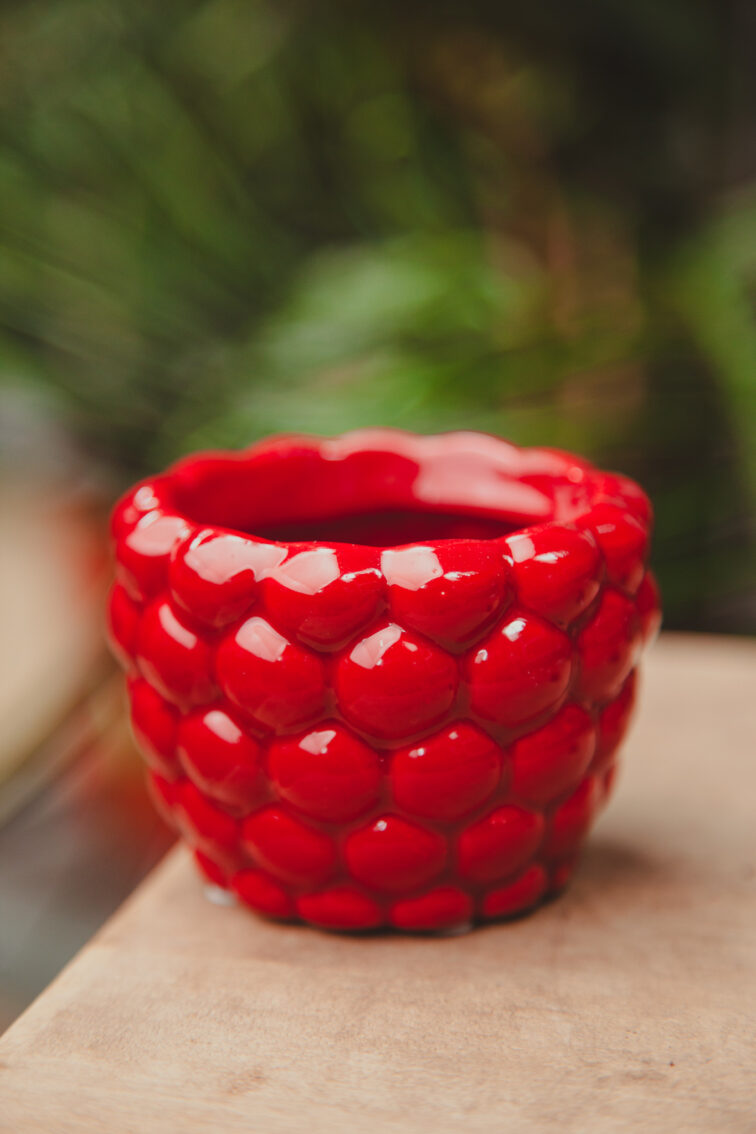 Zdjęcie doniczki lub oslonki: Osłonka Raspberry 6 × 6 cm, ujęcie 1