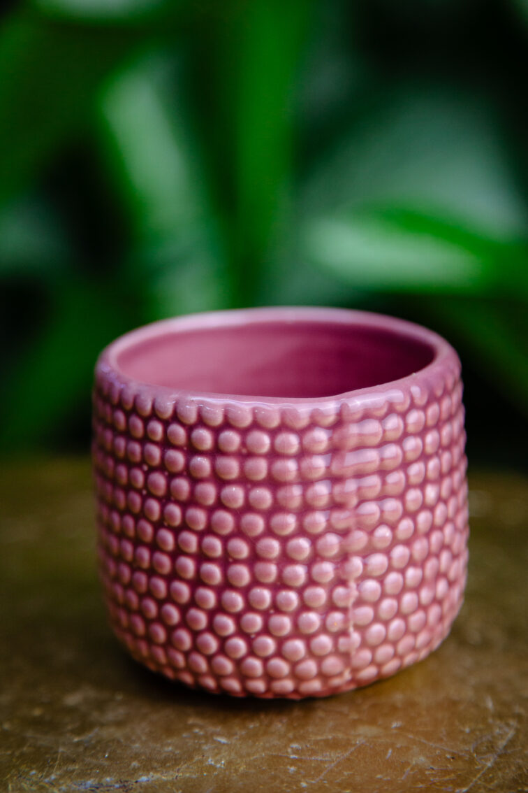 Zdjęcie doniczki lub oslonki: Osłonka Lizard Pink, ujęcie 1