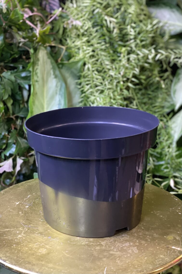 Zdjęcie doniczki lub oslonki: Doniczka plastikowa czarna 19cm, ujęcie 1