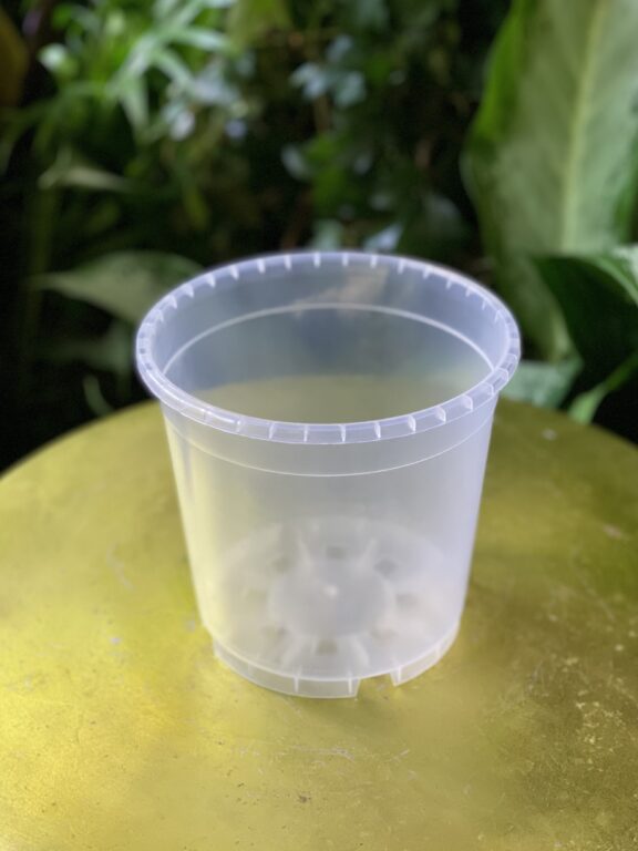 Zdjęcie doniczki lub oslonki: Doniczka plastikowa przezroczysta 14cm, ujęcie 1