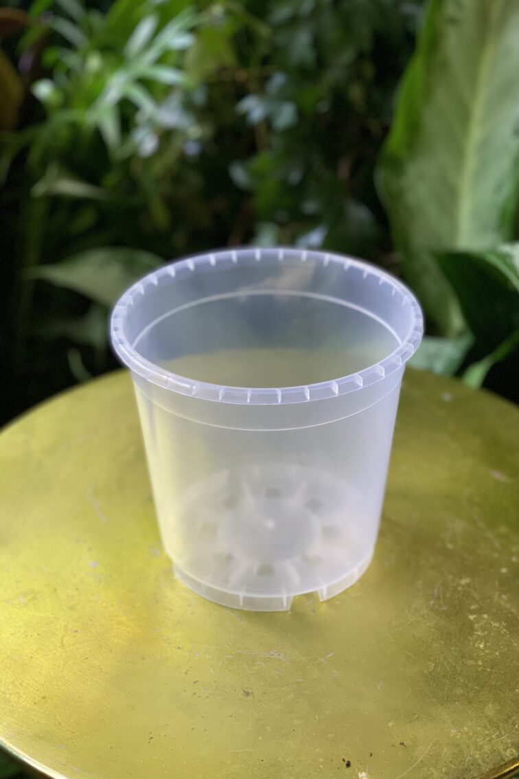 Zdjęcie doniczki lub oslonki: Doniczka plastikowa przezroczysta 19cm, ujęcie 1