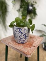 Zdjęcie doniczki lub oslonki: Osłonka Bławatek 13 × 15 cm, ujęcie 2