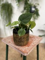 Zdjęcie doniczki lub oslonki: Osłonka Horus 12 × 12 cm, ujęcie 2