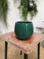 Zdjęcie doniczki lub oslonki: Osłonka Nefryt 12 × 13 cm, ujęcie 3
