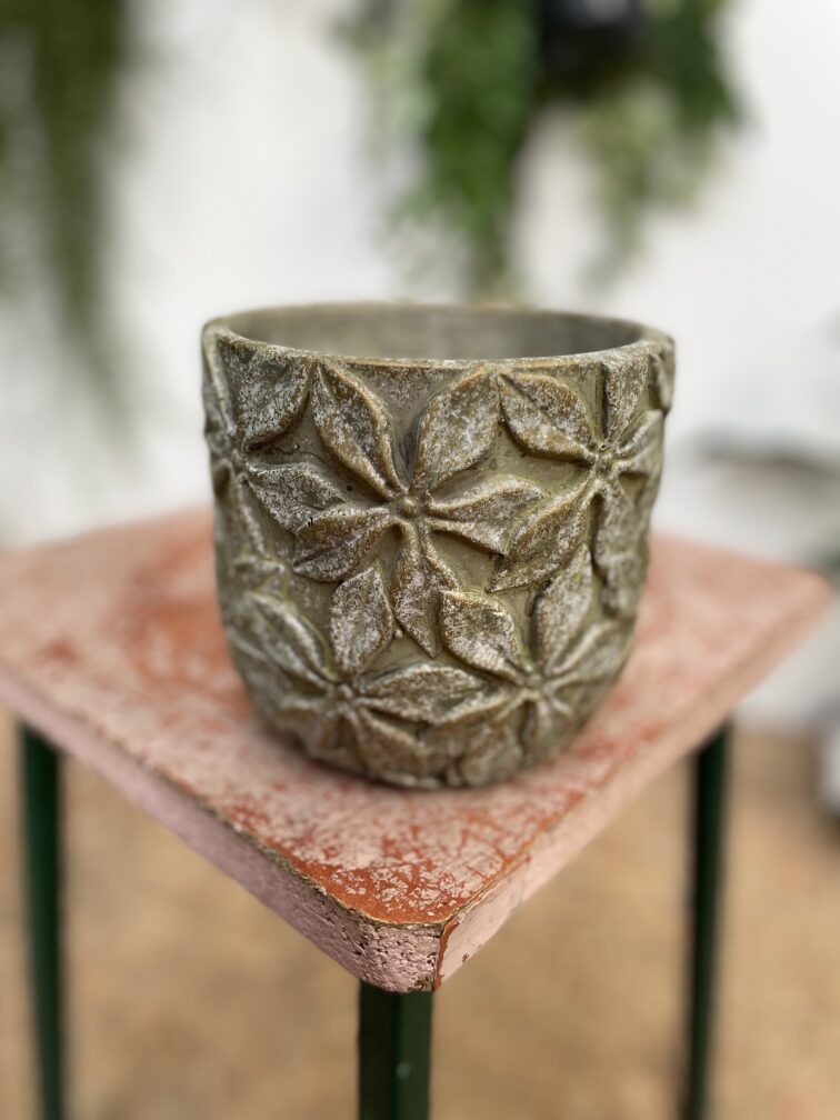 Zdjęcie doniczki lub oslonki: Osłonka Stigmaria 12 × 13 cm, ujęcie 1