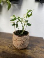 Zdjęcie doniczki lub oslonki: Osłonka Fingerprint 12 × 13 cm, ujęcie 2